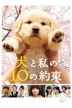 10 Promises to My Dog (2008) download