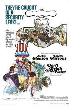 Don't Drink the Water (1969) download