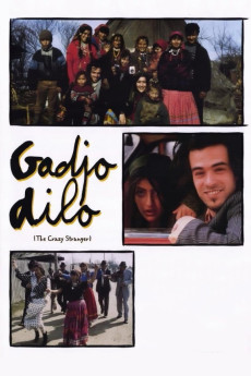 The Crazy Stranger (1997) download
